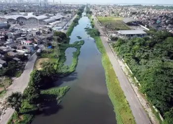 Glocal Experience Amazônia – A despoluição dos Igarapés
