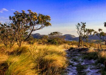 BNDES destrava R$ 640 milhões de fundo de combate às mudanças climáticas 