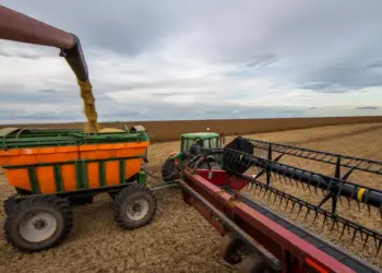 Brasil e Vietnã entram em acordo e ampliam cooperação agrícola