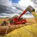Icomex estima superávit de US$ 80 bilhões