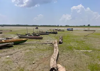 Estiagem leva situação de emergência a cidades do Amazonas