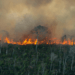 Fogo na Amazônia: Setembro marca a época com maior índice de queimadas.
