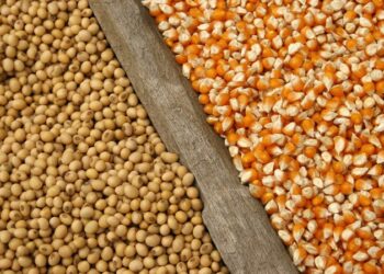 Safra 2022/23 atinge o recorde de 322,8 milhões de toneladas.