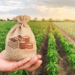 6 carreiras que vão se destacar no agro em 2023, podendo atingir salários de até R$60 mil