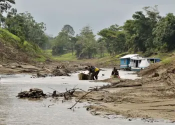 Seca histórica: Número de cidades em situação de emergência sobe para 23 no Amazonas.