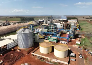 Gigante do agro investe R$250 milhões em segunda planta de processamento