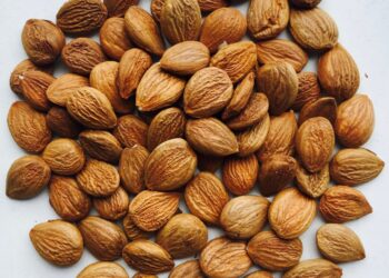 ECONOMIA CIRCULAR: Startup aproveita caroço de fruta e cria valor