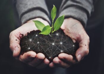 AgTechs: Startups que usam tecnologia na produção agrícola