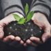 AgTechs: Startups que usam tecnologia na produção agrícola