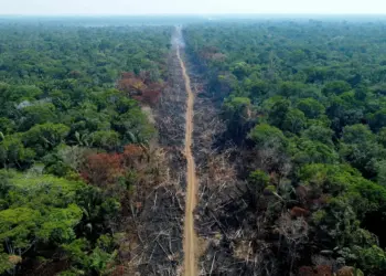 Brasil precisa reduzir desmatamento da Amazônia em 48% para cumprir metas do Acordo de Paris