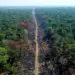 Brasil precisa reduzir desmatamento da Amazônia em 48% para cumprir metas do Acordo de Paris