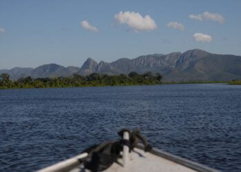 ISA CTEEP firma parceria com IHP para mapear áreas no Pantanal com potencial para desenvolver novos projetos de crédito de carbono
