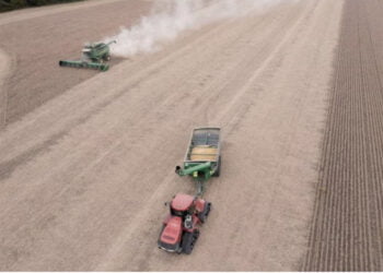 Empresários norte-americanos visitam China em busca de negócios 