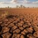 Fertilizantes com aminoácidos minimizam impactos do El Niño na agricultura