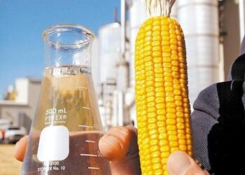 Como o etanol de milho contribui para o aumento da Economia Circular