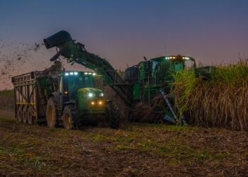 Com planejamento correto, é possível evitar erros na reforma do canavial