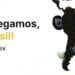Patex oficializa a chegada de seus produtos ao mercado brasileiro