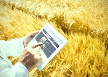 Programa de fidelidade do agronegócio possibilita a 235 mil produtores rurais trocarem pontos por produtos e serviços