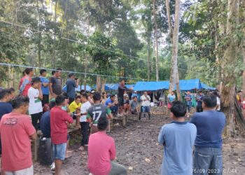 Povo Deni supera a estiagem no Amazonas e alcança recorde na pesca de pirarucu