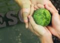 7 práticas de ESG implementadas pela LWSA para um futuro mais sustentável e equitativo