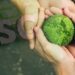 7 práticas de ESG implementadas pela LWSA para um futuro mais sustentável e equitativo