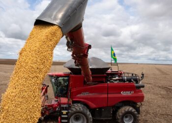 Produtor precisa se preocupar agora com a colheita