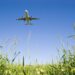 Brasil pode virar potência em combustível sustentável para aviação