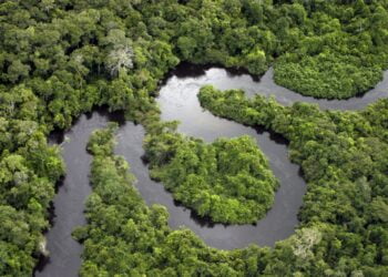 Noruega irá doar mais de US$ 50 milhões para Fundo Amazônia