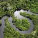 Noruega irá doar mais de US$ 50 milhões para Fundo Amazônia