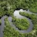Noruega irá doar mais de US$ 50 milhões para Fundo Amazônia