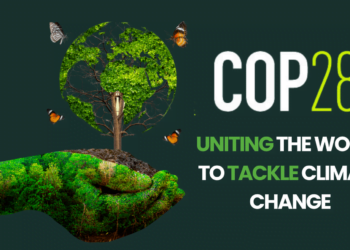 Agronegócio brasileiro desempenha papel central na COP 28