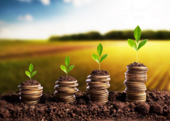 Crédito Rural: Desembolsos Atingem R$ 217 Bilhões entre Julho e Novembro