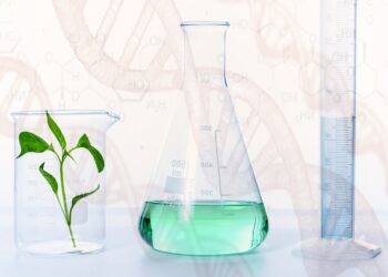 Agri Biotech: inovações para ficar de olho em 2024