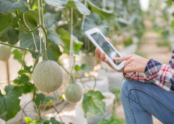 Cibercriminosos visam o setor do Agronegócio