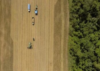 CRA verde em dólar é alternativa de investimento para fomentar a produção sustentável do agro brasileiro