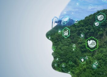 Sustentabilidade além das aparências