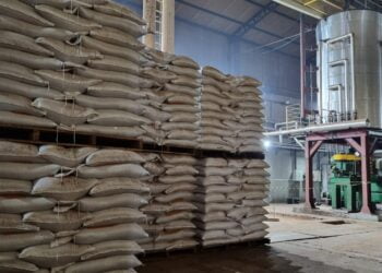 CRAS Brasil lidera exportação brasileira de óleo de amendoim