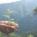 Particularidades dos processos de responsabilidade ambiental deixam empresas em alerta