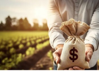 Agronegócios e franquias: setores abundantes de oportunidades