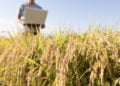 Agroindústria já pode aderir ao programa da Receita Federal que libera pagamento de dívidas tributárias sem juros