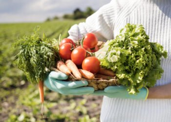 Apesar de ser maioria no agronegócio Brasil, agricultura familiar sofre desafios