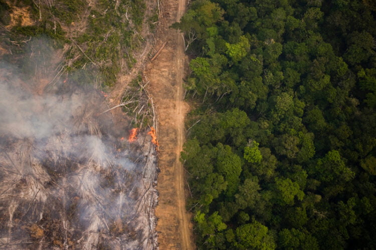 On a flight from Alta Floresta to Claudia with a view of the rainforest seen during the burning season when large sections of forest are set on fire by farmers to be cleared for soy farming or cattle breeding.