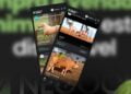 App de compra e venda de animais abre nova rodada de investimentos