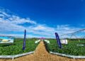 Biotrop estrutura FIDC em conjunto com Opea