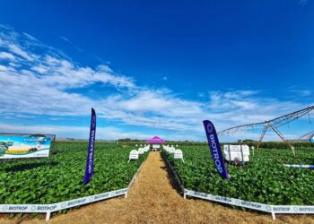 Biotrop estrutura FIDC em conjunto com Opea