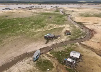 Zona Franca de Manaus enfrenta desafios após estiagem