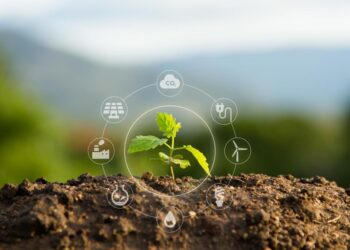 Sustentabilidade é tendência no agronegócio brasileiro