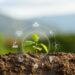 Sustentabilidade é tendência no agronegócio brasileiro