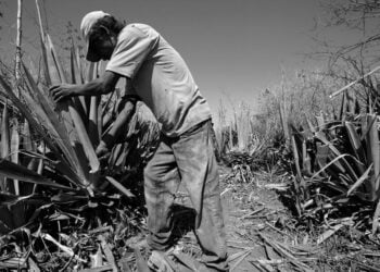 Senado analisa medidas de combate ao trabalho escravo