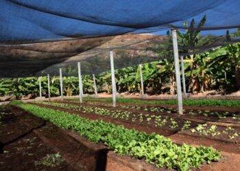 RHI Magnesita investe R$ 2 milhões em projetos sociais